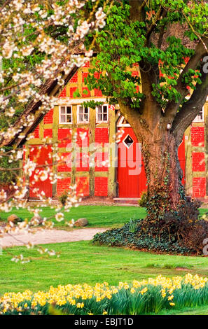 A struttura mista in legno e muratura in agriturismo in primavera, Germania, Bassa Sassonia, Osterholz Foto Stock