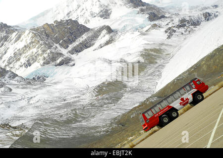 Snow bus di fronte del Ghiacciaio Athabasca del Columbia-Icefield, Canada Montagne Rocciose Foto Stock