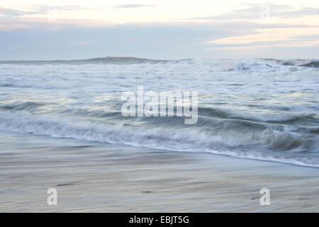 Il farne le isole da Seahouses Northumberland REGNO UNITO Foto Stock