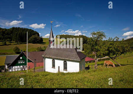 La cappella e il Casale in collina paesaggio con bosco e prati nel quartiere Dumicke, in Germania, in Renania settentrionale-Vestfalia, Sauerland, Drolshagen Foto Stock