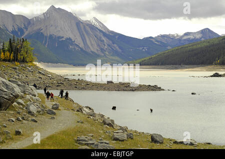 I turisti a scattare foto di mooses in un lago, Canada Montagne Rocciose, il Parco Nazionale di Jasper Foto Stock