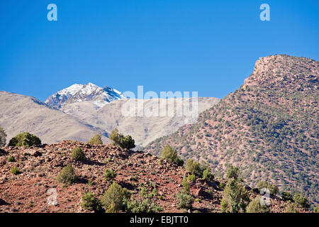 Toubkal Mountain, il picco più alto delle montagne Atlas, Marocco, Marrakech, Atlas Foto Stock