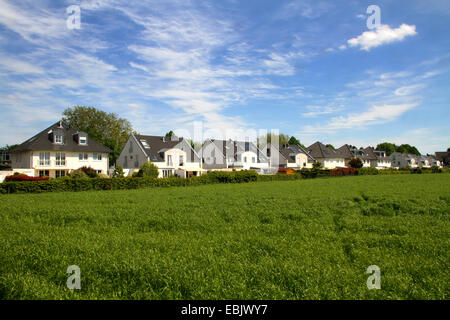 Campo di mais e area di sviluppo, Germania Nordrhein Westfalen, la zona della Ruhr, Essen Foto Stock