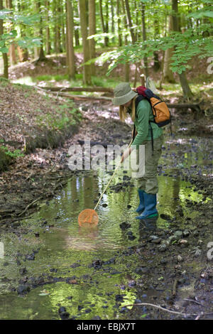 Ragazza stivali di gomma e dip-net, in piedi in una foresta creek, Germania Foto Stock