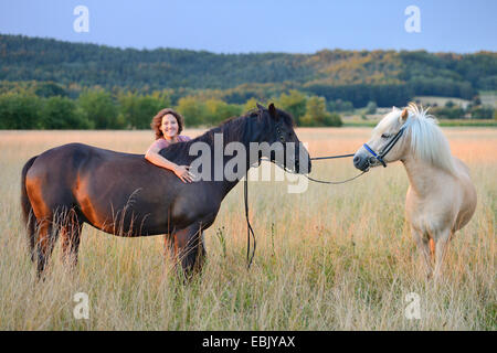 Cavalli domestici (Equus przewalskii f. caballus), giovane donna felicemente in piedi in un prato con un Arab-Haflinger cavallo e un cavallo islandese, Germania Foto Stock