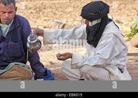 Cameleers bere il tè nel deserto del Sahara, Marocco, Souss-Massa-DaraÔ Foto Stock