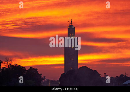 Minareto della Moschea di Koutoubia, Marocco Marrakech Foto Stock