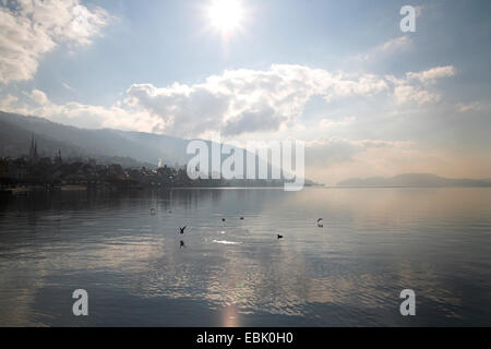 Il lago di Zugo, della città e delle montagne nel sole di mezzogiorno, Svizzera, Kanton Zug, Zugo Foto Stock