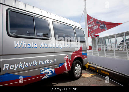 Promozioni per l'avvistamento di balene e uccelli marini watching in mini bus, l'Islanda, Reykjavik Foto Stock