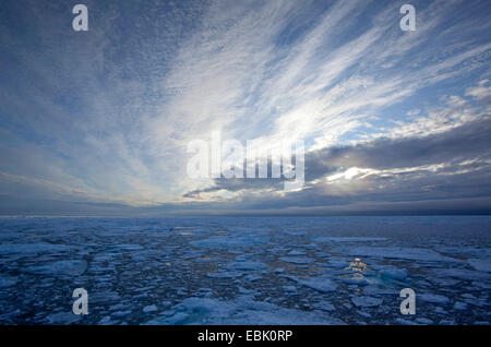 Summer pack ghiaccio nella luce della sera, Norvegia Foto Stock