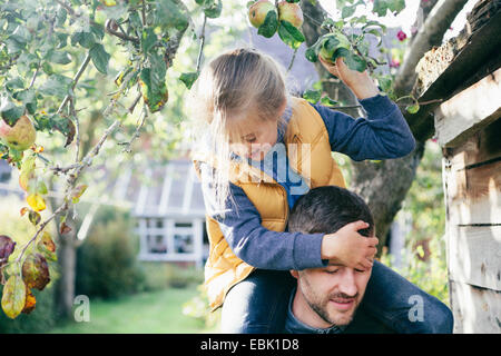 Figlia il Padre di spalle, picking apple dalla struttura ad albero Foto Stock