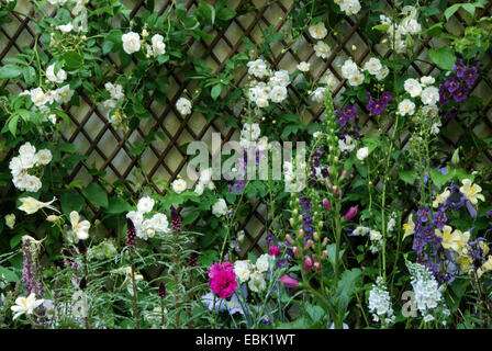 Cortile con giardino, 'Spostamento sull', il Chelsea Flower Show 2007, Londra, Regno Unito. Foto Stock