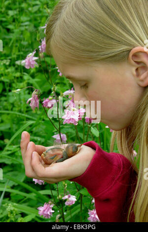 Merlo (Turdus merula), ragazza in giardino con featherless orfani pollo in mano Foto Stock