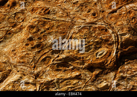 Strutture in parete in pietra arenaria vicino a Cape Woolamai, Australia, Victoria, Phillip Island Foto Stock