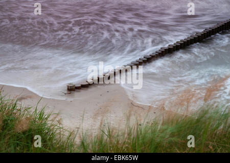 Vista groyne a costa del Mar Baltico, Germania, Meclemburgo-Pomerania, Wustrow Foto Stock