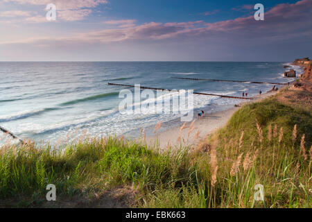 Mar Baltico e pennelli, Germania, Meclemburgo-Pomerania, Wustrow Foto Stock