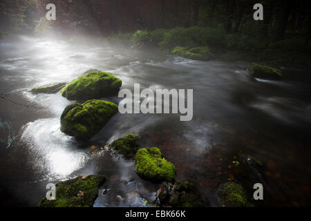 La nebbia su un fiume, Trieb valley, in Germania, in Sassonia, Vogtland Foto Stock