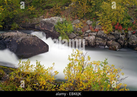 Vista di Abiskojakka-Canyon, Svezia, Abisko National Park Foto Stock