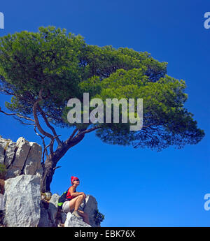 Pino (Pinus spec.), donna seduta su roccia sotto un pino e godendo della vista, Francia, Calanques Parco Nazionale Foto Stock