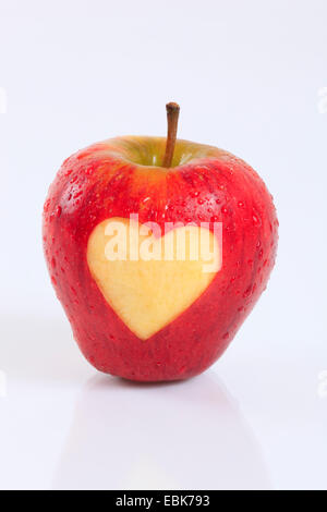 Apple (malus domestica), rosso apple con cuore Foto Stock