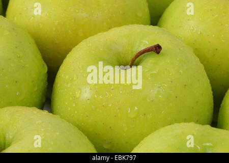 Apple (malus domestica), mela verde con gocce d'acqua Foto Stock