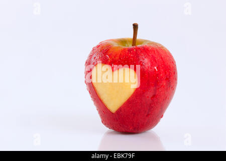 Apple (malus domestica), rosso apple con cuore Foto Stock