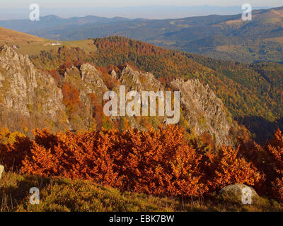 Hohneck montagna dei Vosgi superiore in autunno, Francia, Alsazia, montagne Vosges, Hohneck Foto Stock