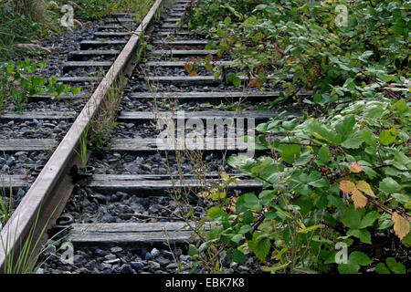 Shutdown ferrovie nel Luenen, in Germania, in Renania settentrionale-Vestfalia, la zona della Ruhr, Luenen Foto Stock