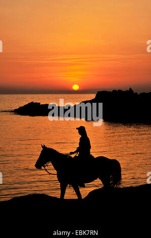 Cavallerizza in sella a un cavallo presso la costa del Deserto di Agriates presso l'Ostricon, Francia, Corsica Foto Stock