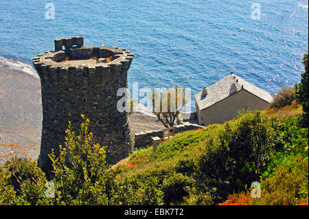 Torre Genovese di Negru, Francia, Corsica, Cap Corse, Negru Foto Stock