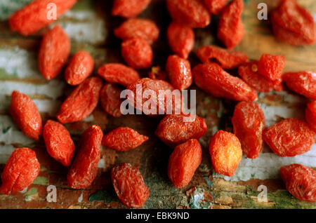 Wolfberry cinese, comune del matrimonio di vite (Lycium barbarum), essiccati goji bacche Foto Stock