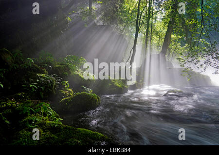 Raggi di sole rompere attraverso la nebbia oltre il fiume, in Germania, in Sassonia, Vogtlaendische Schweiz Foto Stock