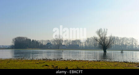 Marsh meadow e floodplain in inverno, in Germania, in Renania settentrionale-Vestfalia, Muensterland Foto Stock