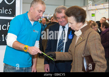 Llanelwedd, Powys, Regno Unito. 2 dicembre, 2014. Nel Food Hall. Princess Anne visiti il Royal Welsh inverno fiera per la prima volta. Insieme a diversi altri membri della famiglia reale, la principessa Anna ha sostenuto il Royal Welsh Showground della società eventi e visitato il Royal Welsh Show nel 1981. Il Royal Welsh Winter Fair celebra il suo venticinquesimo anniversario. Credito: Graham M. Lawrence/Alamy Live News. Foto Stock