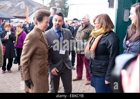 Llanelwedd, Powys, Regno Unito. 2 dicembre, 2014. Princess Anne visiti il Royal Welsh inverno fiera per la prima volta. Insieme a diversi altri membri della famiglia reale, la principessa Anna ha sostenuto il Royal Welsh Showground della società eventi e visitato il Royal Welsh Show nel 1981. Il Royal Welsh Winter Fair celebra il suo venticinquesimo anniversario. Credito: Graham M. Lawrence/Alamy Live News. Foto Stock