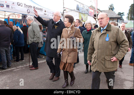 Llanelwedd, Powys, Regno Unito. 2 dicembre, 2014. Princess Anne visiti il Royal Welsh inverno fiera per la prima volta. Insieme a diversi altri membri della famiglia reale, la principessa Anna ha sostenuto il Royal Welsh Showground della società eventi e visitato il Royal Welsh Show nel 1981. Il Royal Welsh Winter Fair celebra il suo venticinquesimo anniversario. Credito: Graham M. Lawrence/Alamy Live News. Foto Stock