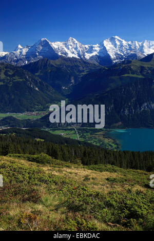 Swiss Alp, vista da Niederhorn a Lauterbrunnen e del Lago di Thun, Eiger, 3974 m, Moench, 4099 m, Jungfrau, 4158m, Svizzera Oberland Bernese, Lauterbrunnen Foto Stock