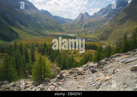 La Val Veny, vista dalle morene del ghiacciaio du Miage, Italia Foto Stock