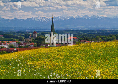 Prealpi, vista su fiore maedow, la chiesa e il castello di Alpi, in Germania, in Baviera, Haag Foto Stock