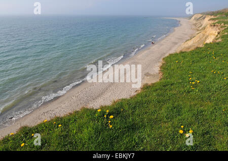 Vista panoramica dalla pila 'Hohes Ufer' vicino Ahrenshoop, Germania, Meclemburgo-Pomerania, Fischland Foto Stock