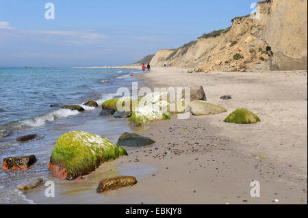 Pila 'Hohes Ufer' vicino Ahrenshoop, Germania, Meclemburgo-Pomerania, Fischland Foto Stock