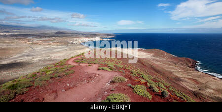 Vista dal Montana Rocha al paradiso del surf a El Medano, Isole Canarie, Tenerife, El Medano Foto Stock