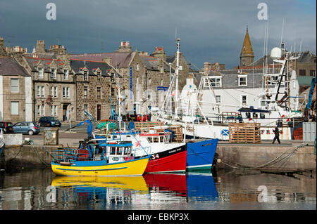 Attività di pesca i pescherecci con reti da traino in porto, Regno Unito, Scozia, Aberdeenshire, Fraserburgh Foto Stock