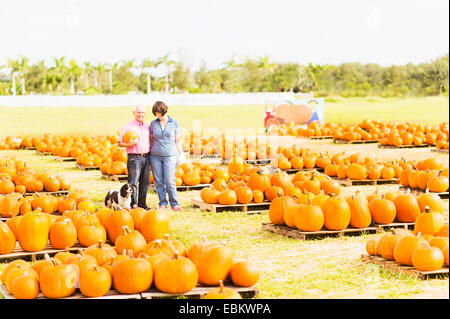 Stati Uniti d'America, Florida, Giove, Ritratto di giovane in piedi in zucca patch Foto Stock