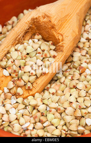 Il grano saraceno (Fagopyrum esculentum), semi nel piatto con un cucchiaio di legno Foto Stock