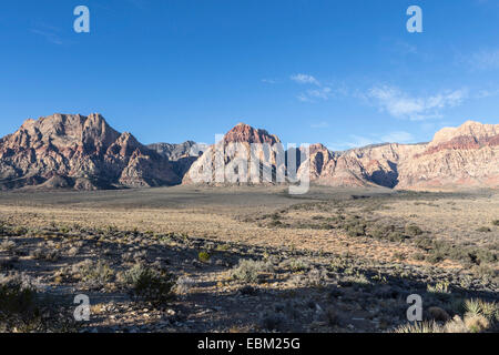 Il Red Rock Canyon National Conservation Area vicino a Las Vegas in Nevada. Foto Stock