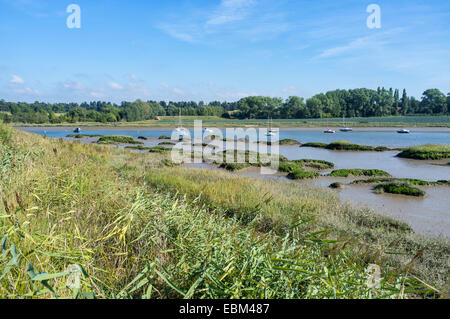Fango tidal flats sul fiume Deben estuario a Woodbridge Suffolk in Inghilterra Foto Stock