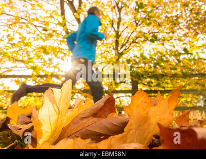 Basso angolo vista del pareggiatore con foglie di autunno in primo piano Foto Stock