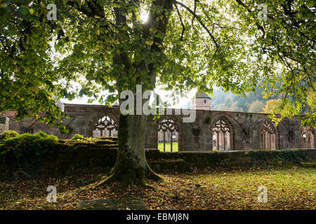 Hirsau, former monastery of St. Peter and Paul, Romanesque, near Calw, Black Forest, Baden-Württemberg, Germany Foto Stock