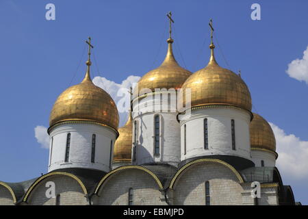Le cupole della cattedrale della Dormizione al Cremlino, Moskau, Russia Foto Stock